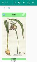 양파 스크린샷 1