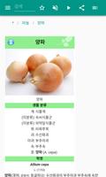 양파 스크린샷 2