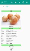 洋葱 截图 1