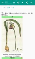 洋葱 截图 2