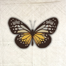 APK Bugs, Insects & Sea Creatures