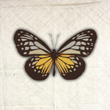Bugs, Insects & Sea Creatures أيقونة
