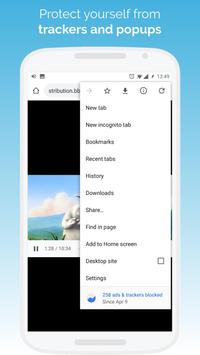 Kiwi Browser 截图 1