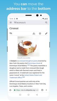 Kiwi Browser 截图 3