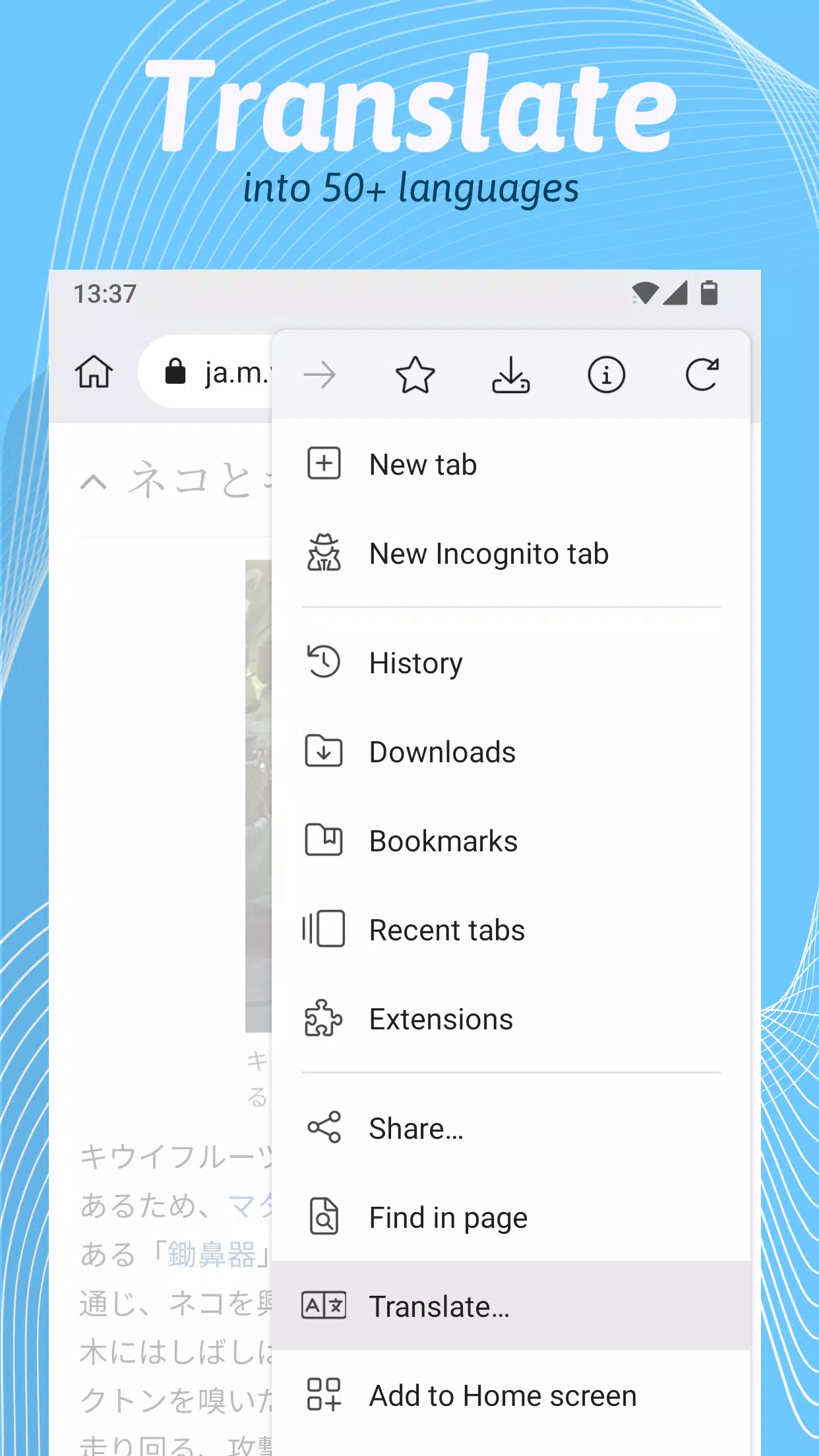 Kiwi Browser APK