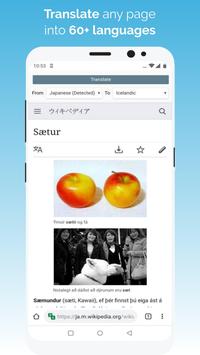 Kiwi Browser 截图 4
