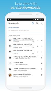 Kiwi Browser 截图 5