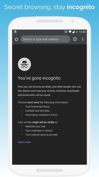 Kiwi Browser 截图 6