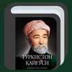 Turkiston Qayg`usi