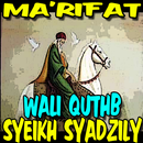 Wali Qutub Syekh Abul Hasan Sy APK