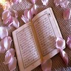 Macam-macam Kitab Suci Allah SWT biểu tượng