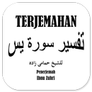 Terjemah Tafsir Surat Yasin By Ibnu Zuhri APK