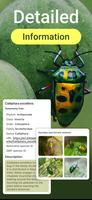 Insect Bug Identifier App Ekran Görüntüsü 1