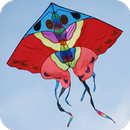 HD Kite Wallpaper APK