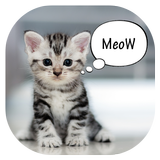 Meow Translator: Cara memahami anak kucing Anda