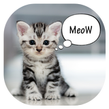 Meow Translator : How to understand your kittens