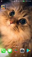 Kawaii Cats Wallpapers - Cute  capture d'écran 1