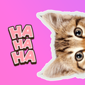 Kitten Cat WhatsApp Stickers
