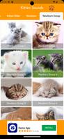 Kitten Sounds ภาพหน้าจอ 2