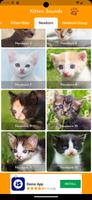 Kitten Sounds ภาพหน้าจอ 3