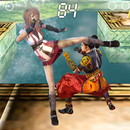 Princess Kungfu Fighting aplikacja