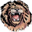 APK Fixed Matches Tips HT FT