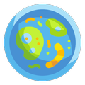 Bioetut