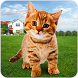 Cat Simulator Games Animal Sim APK