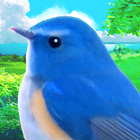 鳥マスター！ icône
