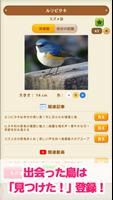 見つけた！野鳥図鑑 capture d'écran 1