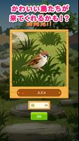 鳥パラダイス captura de pantalla 1