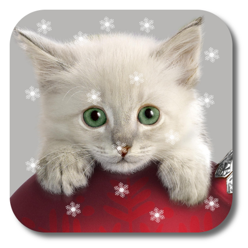 Xmas Cat Live Wallpaper