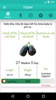 Pregnancy Week By Week Affiche