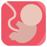 Hamilelik Takibi-icoon