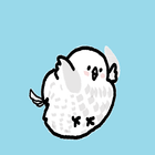 kkyulappy Bird Zeichen