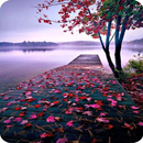 خلفيات قفل الشاشة APK