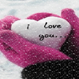 gif wallpapers 图标