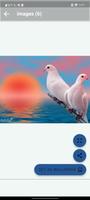 birds wallpapers स्क्रीनशॉट 3