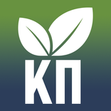 Климат и Поле