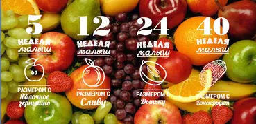 Фруктовые недельки - Наклейки 