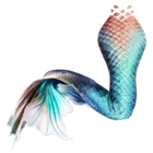 Icona Mermaid's tail