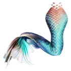 Mermaid's tail icon