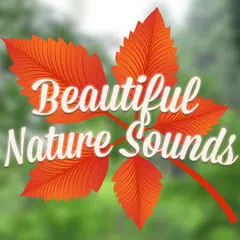 Скачать Beautiful Nature Sounds APK
