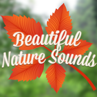 Beautiful Nature Sounds 图标