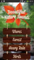 Poster Beautiful Nature Sounds