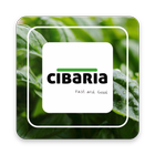 Cibaria icon