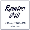 Ramiro Gill Peluquerías