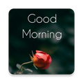 Latest Good Morning Images & Status 2019