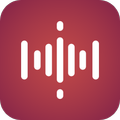 Max Audio Recorder