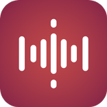Max Audio Recorder